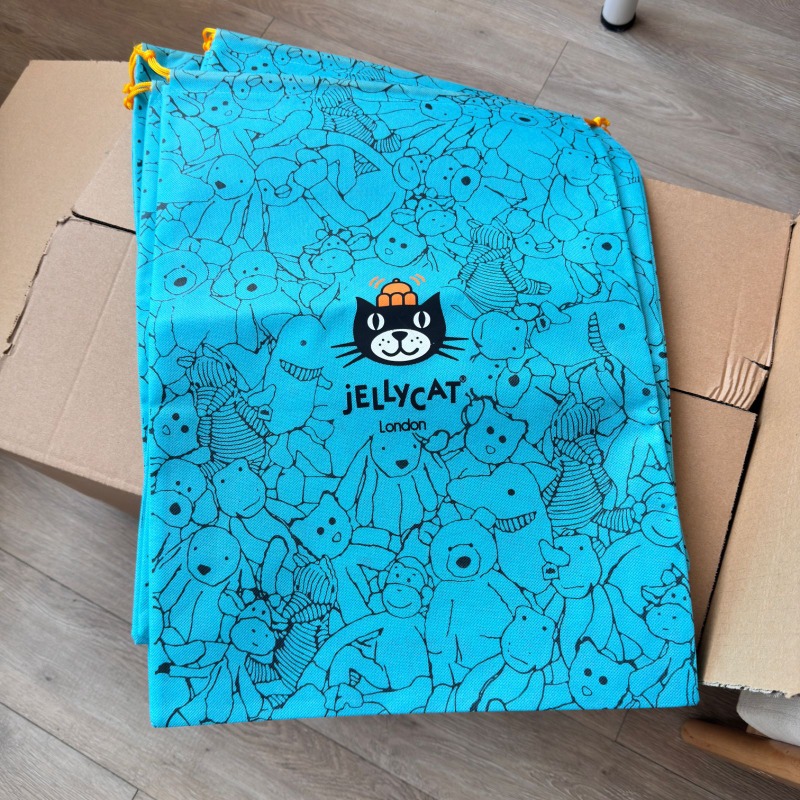 Blue Kawaii Non woven Fabric D - Anime Merchandise Bag review and price